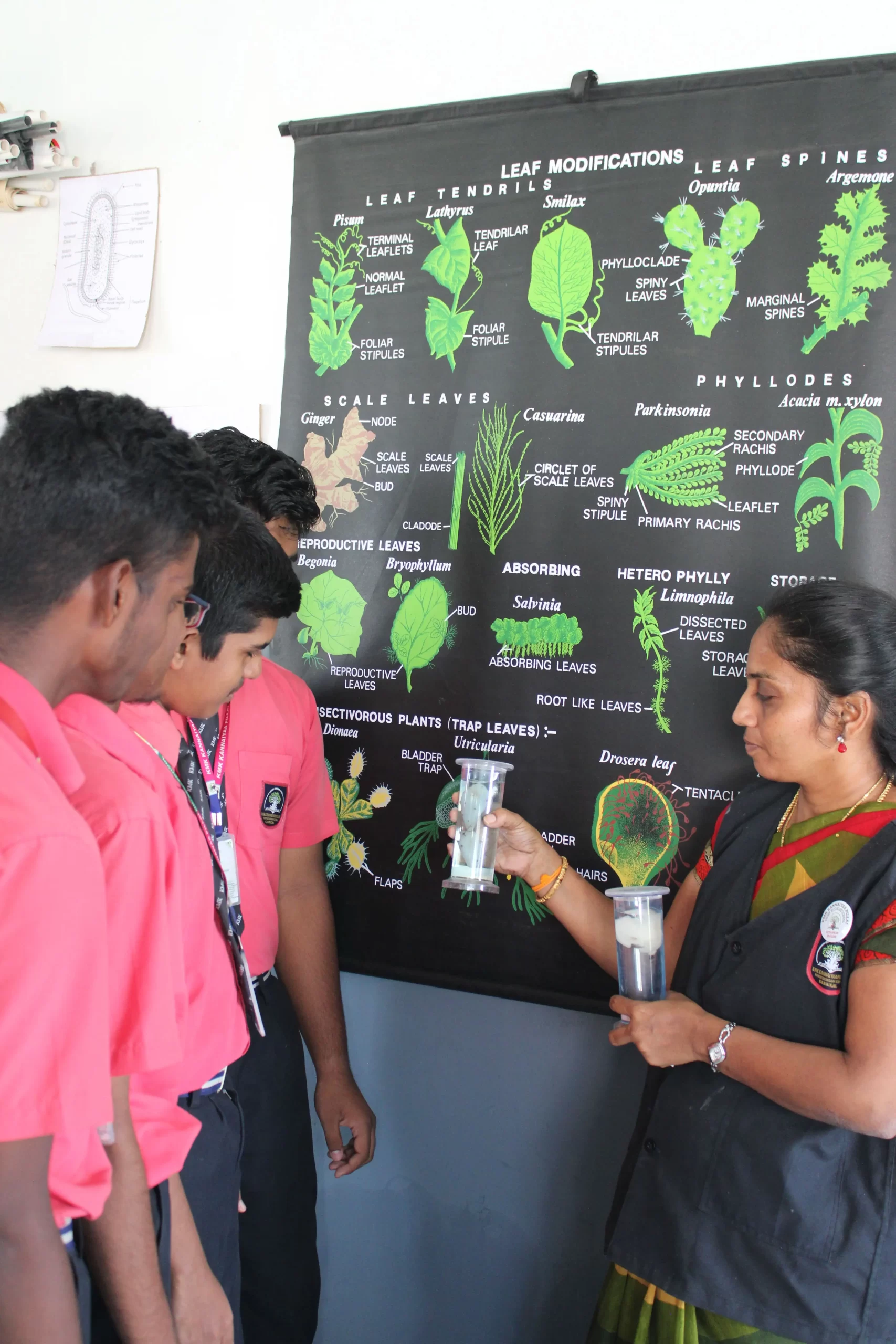 Kmk School - Botany Lab