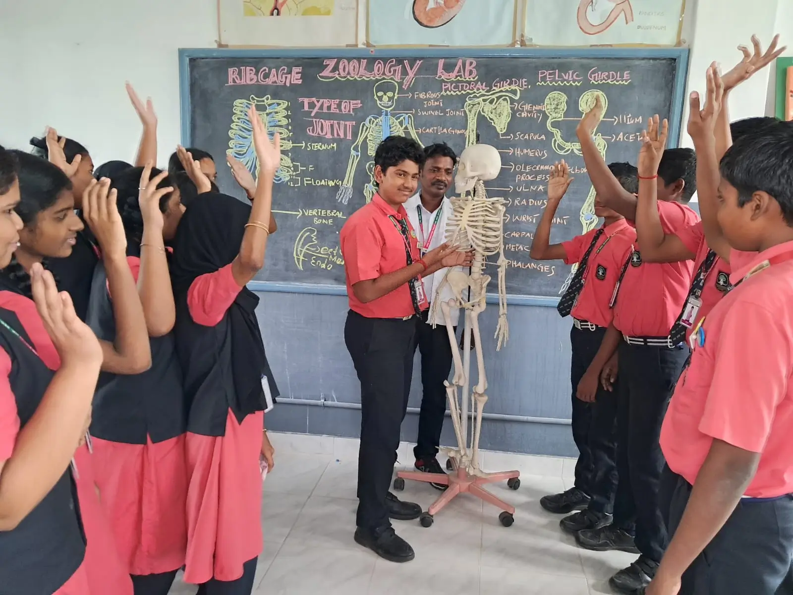 Zoology Lab - Kmk School